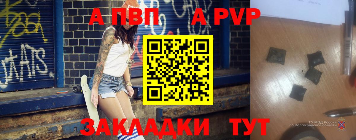 Alfa_PVP СК КРИС  A-PVP крисы CK  APVP VHQ  Вход с VPN  Кизляр 