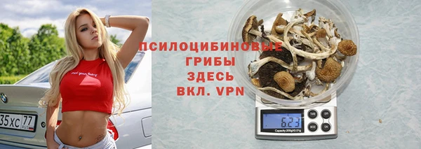 шишки Киренск