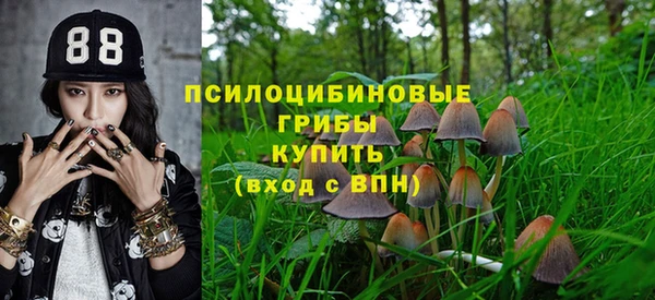 прущая мука Белая Холуница