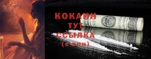 мдпв Киреевск