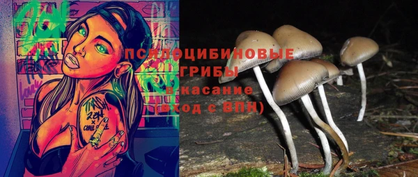 метамфетамин Козловка