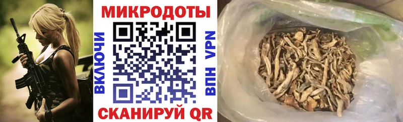 хочу наркоту  нарко площадка телеграм  Псилоцибиновые грибы Cubensis  Кизляр 