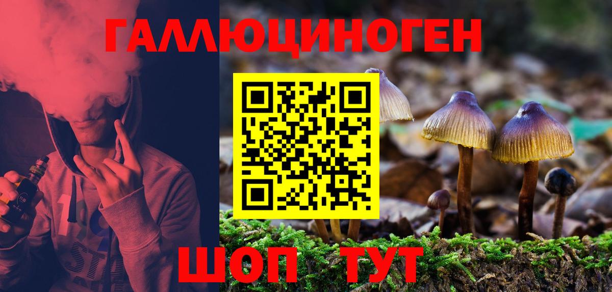 Галлюциногенные грибы Psilocybe  Вход с VPN  Кизляр 
